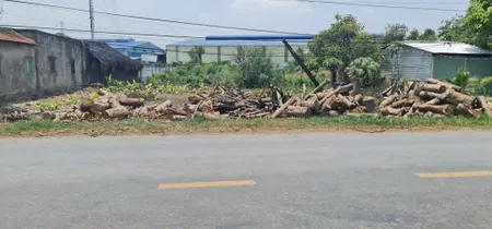 Bán 1862m2 (24x83m), có 320m2 thổ cư, mặt tiền TL 823, Hoà Khánh Tây, Đức Hòa, Long An
