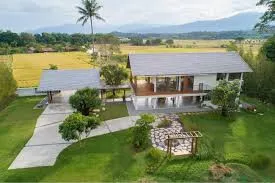 Đất nền siêu rộng tại An Hải, Ninh Phước, Ninh Thuận đang chờ chủ mới.