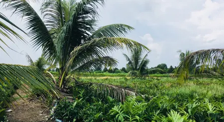 Bán đất 18629.3m² ngang 180m giá 55.8 tỷ Xã Bình Mỹ