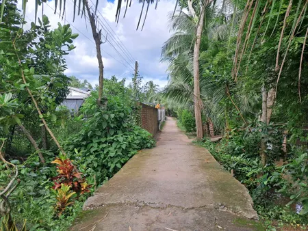 Cần bán gấp