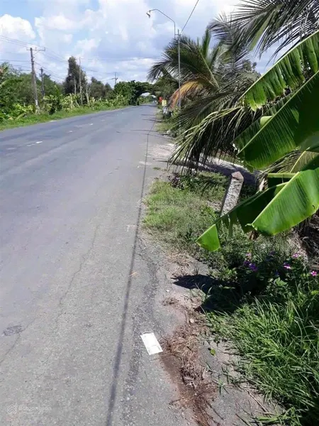 Đất full thổ mt đường 829, huyện tân thạnh, long an. giá 2.7 tỷ