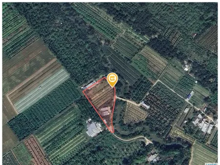 Bán đất 708m² giá 300 triệu Xã Thới An Hội