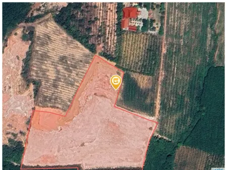 Bán đất 60000m² giá 60 tỷ Xã An Long