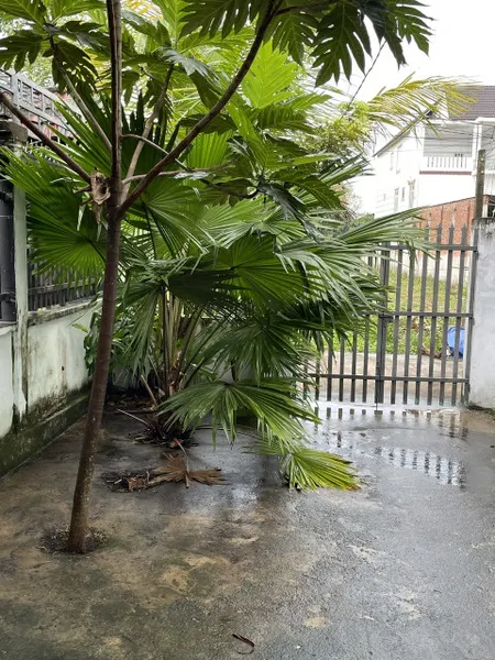 bán nhà riêng sổ hồng riêng chính chủ, sang tên trong ngày