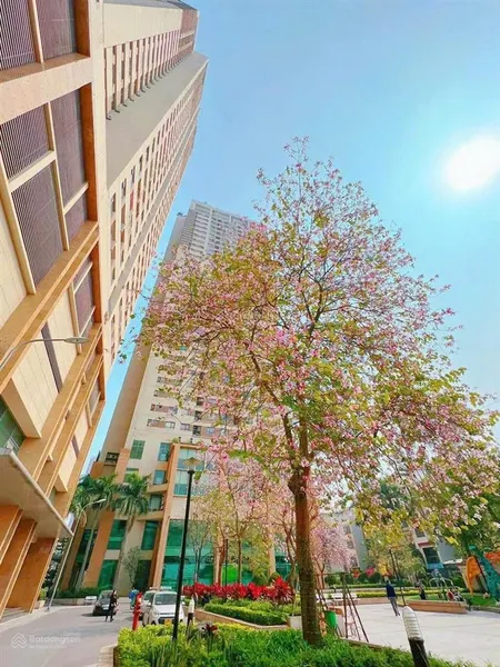 Bán căn hộ chung cư the pride căn góc, diện tích 91m2, gồm 3pn, 2vs, tầng trung, giá 6.1 tỷ