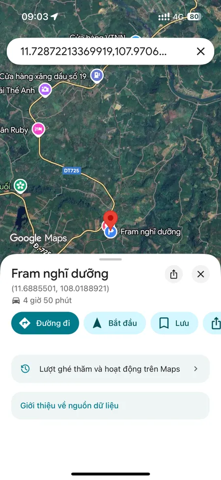 Bán đất vườn caphe có suối