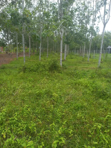 Tây Ninh giá tốt