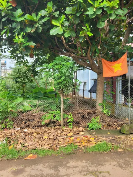 Bán đất nền 137m² ngang 6m khu dân cư trung tâm xã Bảo Bình