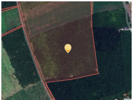 Bán đất 21000m² giá 25 tỷ Xã Phú Giáo
