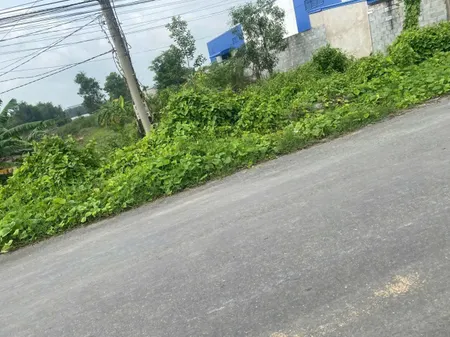 Bán 1000m2 có 150m2 thổ cư, đường Gia Miệng, cách TL 830 400m, Lương Hoà, Long An