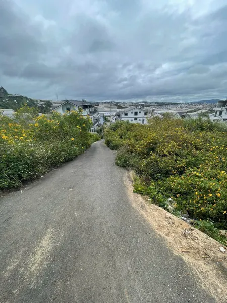 Cần Bán gấp lô đất P12 khu hòn bồ Thái Phiên sổ xây dựng