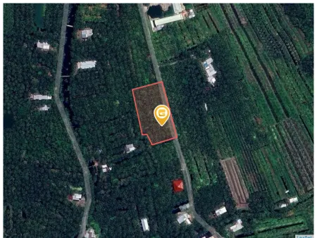 Bán đất 3924m² giá 2.8 tỷ Xã Càng Long