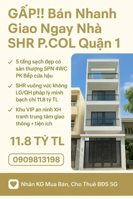 ♥️♥️♥️GẤP!! Bán Nhanh Giao Ngay Nhà SHR P.COL Quận 1.♥️♥️♥️