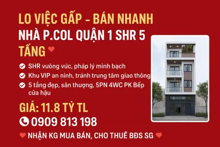 ♥️♥️♥️Lo Việc GẤP Bán Nhanh Nhà P.COL Quận 1 SHR 5 Tầng.♥️♥️♥️