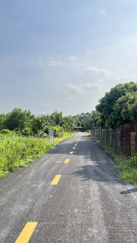 Bán lô Phước Tân 17.6 x 85, full hồng