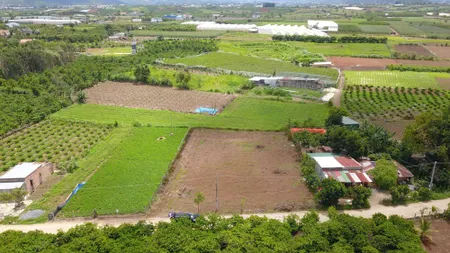 240m2 Xã Tân Hội. Lâm Đồng bán đất thổ cư Ngang 6m