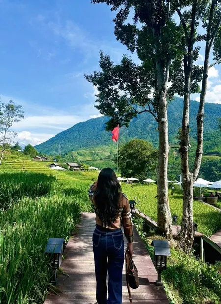 Bán Gấp Trang Trại, Khu Nghỉ Dưỡng Tại Xã Tả Phìn, Sa Pa, Lào Cai, 120 Tỷ, 51000 M2