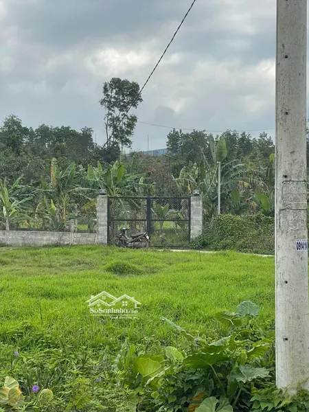Bán Lô đất Vườn Có Sổ Khu đại La, Hoà Sơn