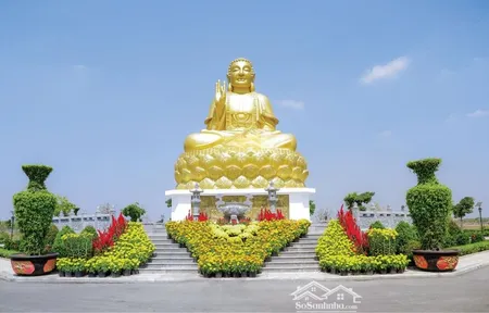 đất Hiện đang để Trống Thuận Tiện Với Các Chủ Gia đình Có Nhu Cầu Chọn Long Mạch, Thiết Kế Riêng