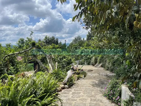 Khu Nghỉ Dưỡng 6500m2 Tại Khu Nghỉ Dưỡng 6500m2 Tại đồi Sân Bay Sẵn 400m2 Thổ Cư - View Săn Mây Tại
