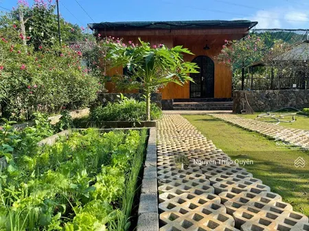 Bán Ngôi Nhà Hoa Hồng - Ngay đường Phan đình Phùng Phường Lộc Tiến, Bảo Lộc