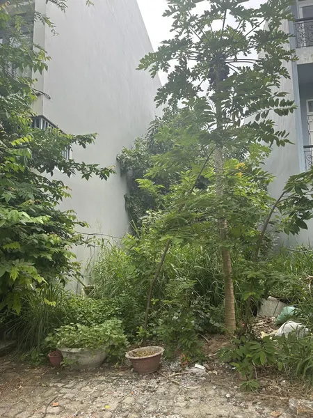 Sụp Hầm Mt Dương đình Nghệ đường 7.5m Thông Ra Biển 100m2 Chỉ Nhỉnh 14tỷ