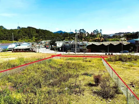 Bán đất Tại đankia, Phường 7, đà Lạt, Lâm đồng, 6,5 Tỷ, 235,6 M2