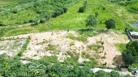 Bán Lô đất 500m View Suối Có 160m đất ở địa Thế đẹp để Làm Biệt Thự Vườn Giá đầu Tư