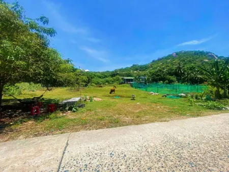 Đất 2 mặt đường biển Bình Lập, ngang 20m và 30m, cách biển 300m