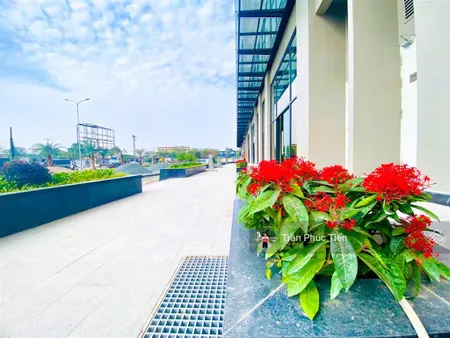 Chính chủ bán căn hộ 108m2, 3n3vs tại the wisteria, view nội khu. tầng trung sàn vàng.