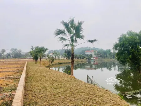 2,3 Tỷ Có Ngay đất Nghỉ Dưỡng đồng Mô, Sơn Tây- Hàng Hiếm Không Lặp Lại- Sổ đỏ Trao Tay