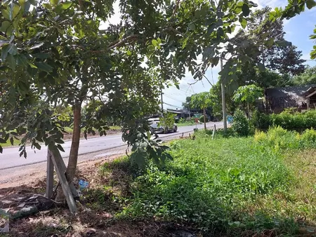 đất Mặt Tiền 750m² Phú Mỹ Hưng, Củ Chi Sổ Hồng Riêng, Xây Dựng Ngay, Giá 9,8 Tỷ