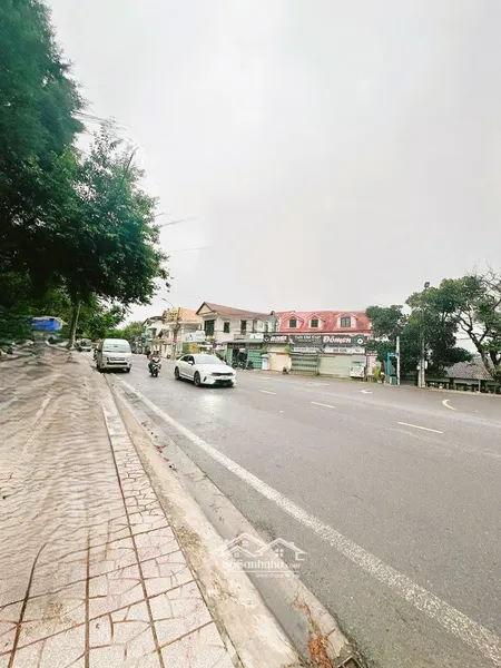 Bán Lô đất Mai Hắc đế, Trung Tâm P6 đà Lạt -diện Tích:162,88m - Toàn Bộ Thổ Cư. (2 Sổ Riêng)