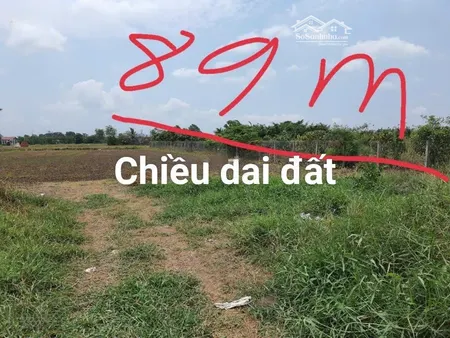 Bán đất Vườn Chính Chủ Tại Cần đước , Long An