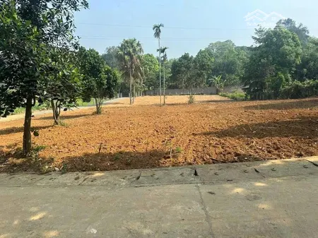 Mảnh đất Lõi Trong Quần Thể Nghỉ Dưỡng Làng Hà Nội, Xung Quanh Nhiều Villa, Homestay, Cách Hn 55km