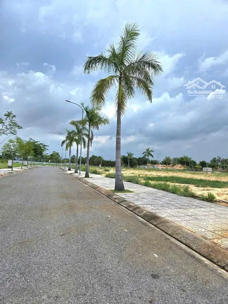 Chính Chủ Bán đất 1ha Ngay Cặp Dự án Long Hội Central Giá đầu Tư Cách Trung Tâm Hành Chính 6tr/m2