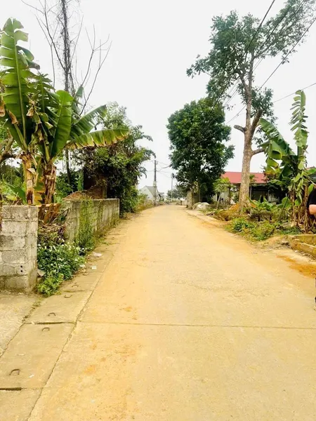Bán đất Gần Trục Chính Liên Huyện - Tiềm Năng Sinh Lời Cao Tại Phú Cát - Quốc Oai - Hà Nội
