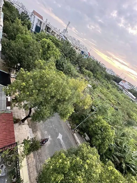 Bán Nhà Mặt Phố đường 43, 13 Tỷ, 76m2, View đẹp, Giá Tốt, Tân Phong, Quận 7, Hcm