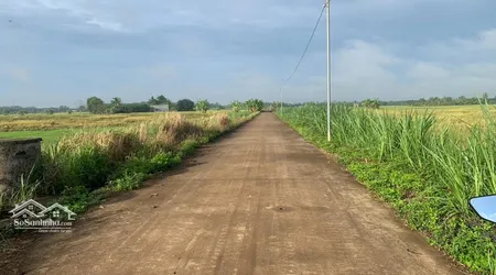 Bán 1500m2 Sông Thao Sổ Riêng Giá 790 Triệu Cực Rẻ Rẻ Rẻ