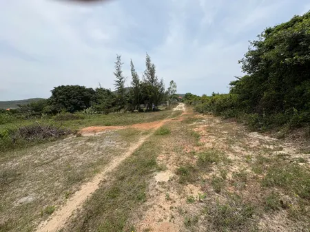 0763615365 Bán đất 1864m² ngang 25m giá 12 tỷ Phường Đông Ninh Hòa 055