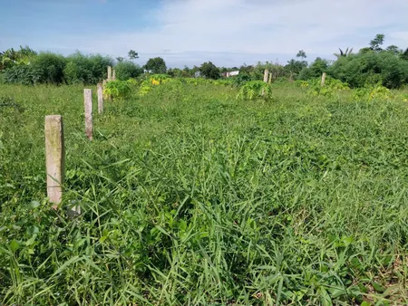(6x31) đất đẹp, đường ôtô gần TL873, QL50 tại TP Gò Công, Tiền Giang.