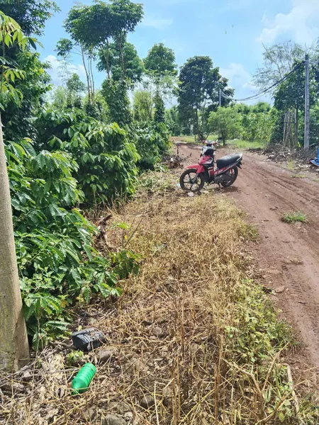 Bán đất 1332.3m² ngang 9,6m giá 555 triệu Xã Hòa Phú