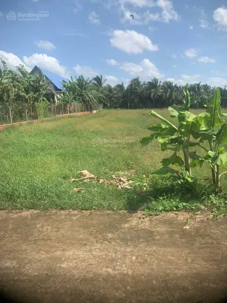 Cần bán gấp đất long thuận, gò công, tiền giang, 120m²/395tr, shr, full thổ cư