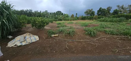 Bán mảnh đất sào, khu dân cư láng lớn 1952m2, 28m mặt đường nhựa