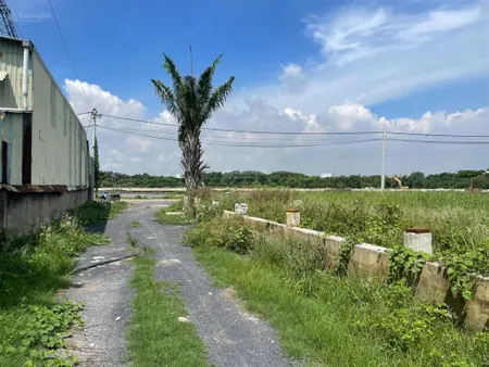 Bán đất 1/ sông vàm thuật vườn lài, 52m2 5 tỷ đường 6m sổ riêng, pháp lí chuẩn chỉnh