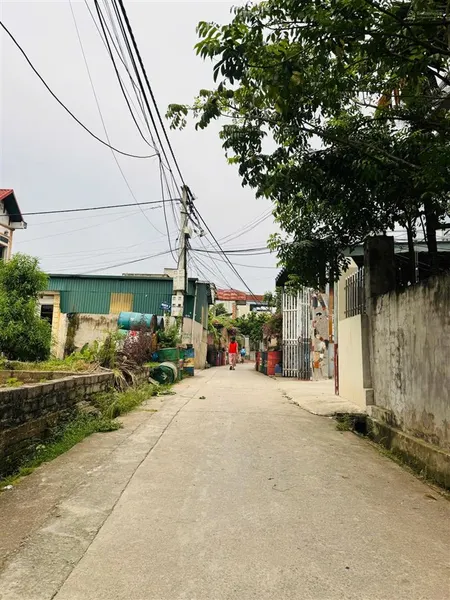 Bán đất tại xã thanh mai, 2,2 tỷ, 48,2 m2