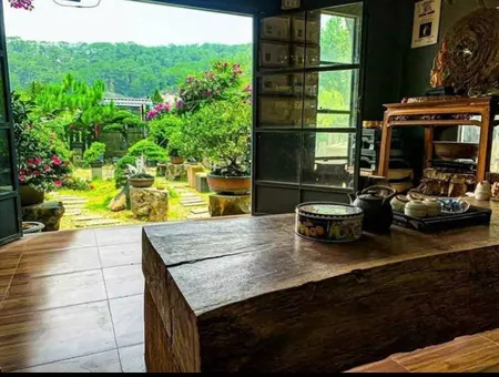 Sốc quá Sốc Chị Gái Chơi Hội Vỡ Nợ Cắt Lỗ Sâu 90% miếng 1000m2 Lạc Dương