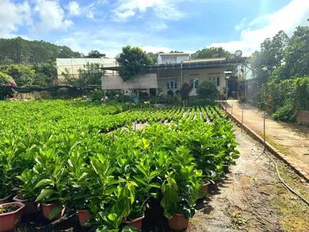 Bán nhà sân vườn rộng có view khu dân cư Hiệp An, cách trung tâm Đà Lạt hơn 15p