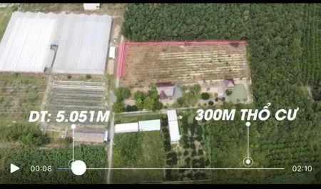 Bán đất tại đường hòa bình, 3,2 triệu/m2, 5051m2 có 300m2 thổ cư chính chủ, giá cực chất