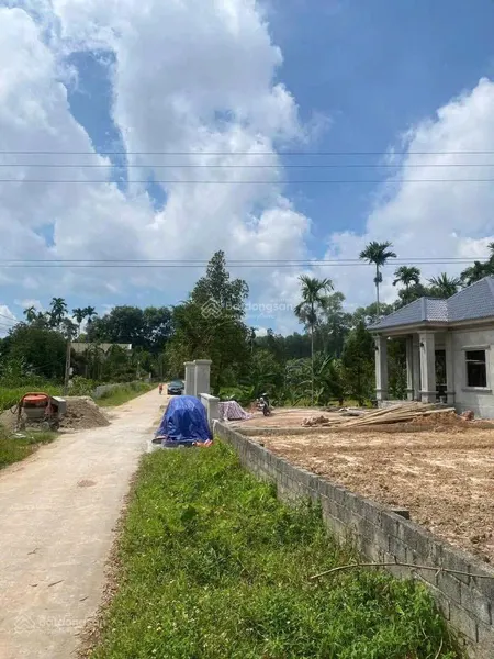 Lô đất 330 triệu tại triệu sơn thanh hóa